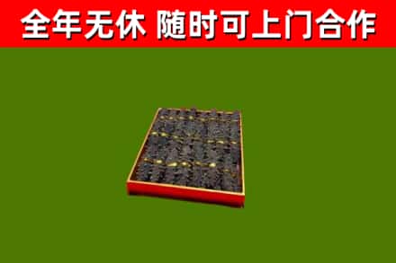 德州市回收海参
